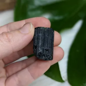 AA Black Tourmaline Natural Specimen~ Dazzling Protective Pocket Stone