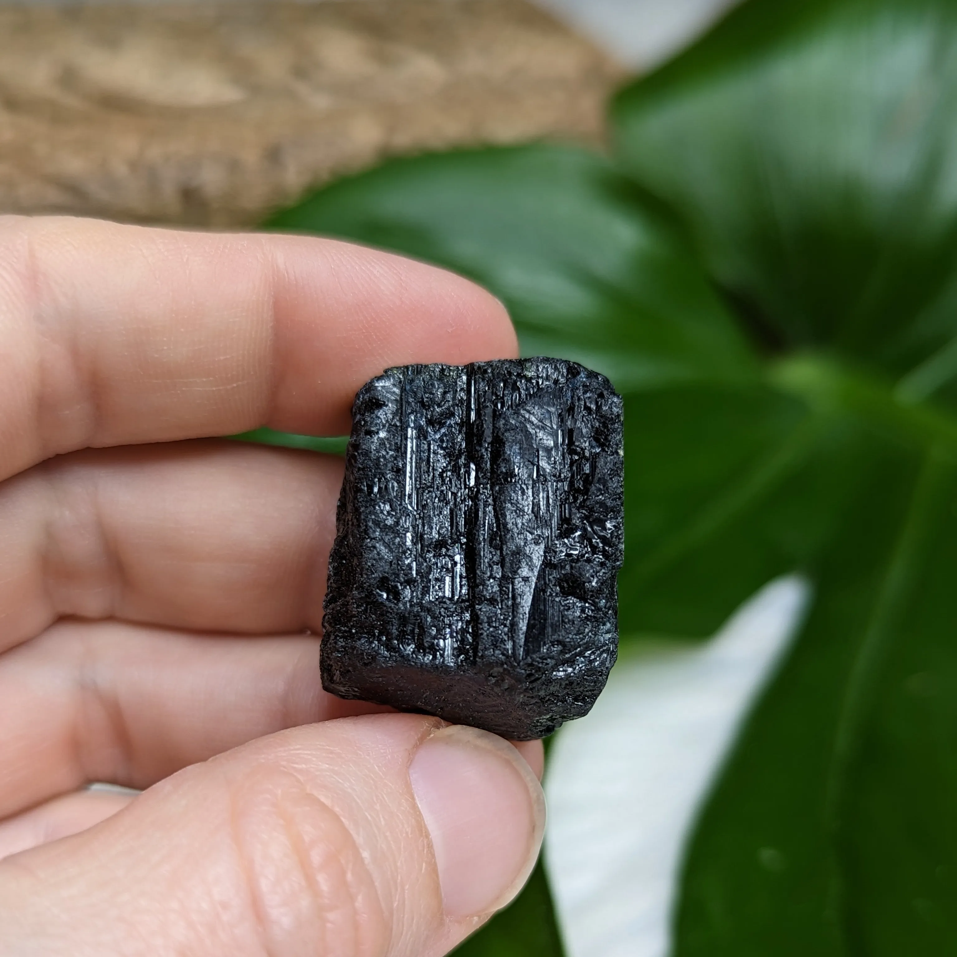 AA Black Tourmaline Natural Specimen~ Dazzling Protective Pocket Stone