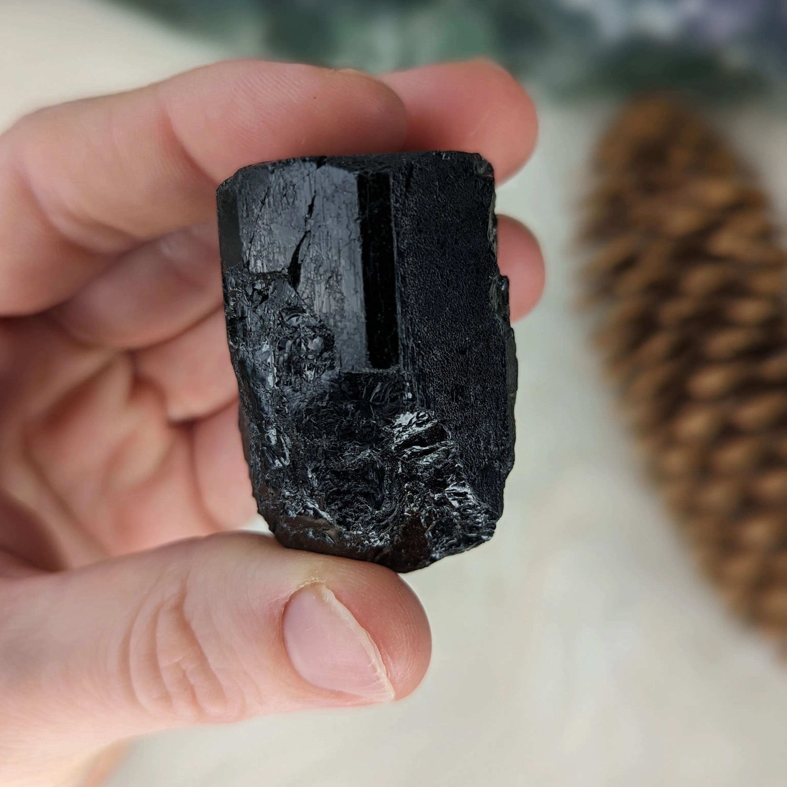 AA Grade Black Tourmaline Natural Specimen~ Dazzling Protective Stone