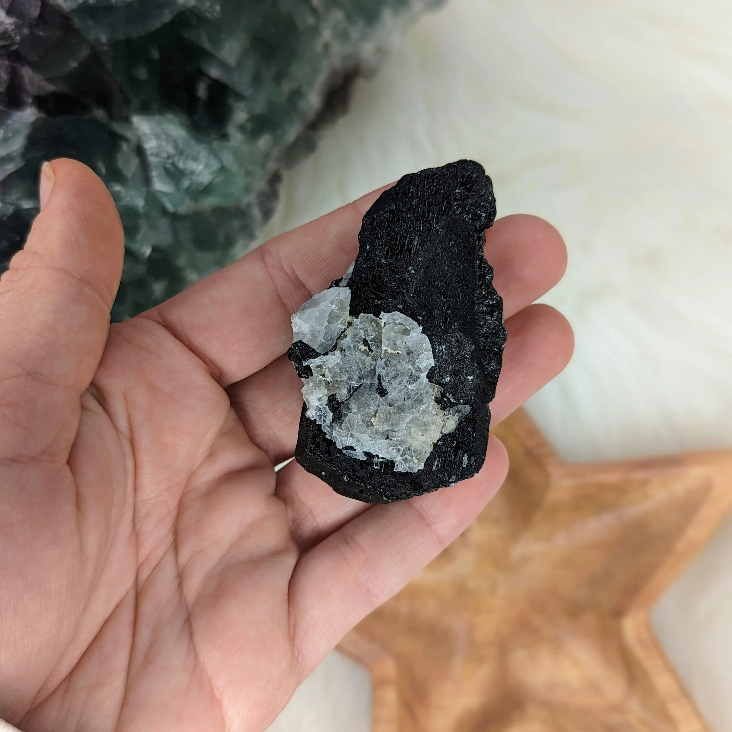 Black Tourmaline Natural Specimen with Quartz~ AA Grade~ Highly Protective Stone