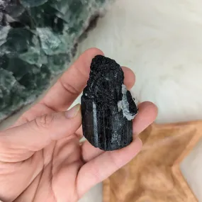 Black Tourmaline Natural Specimen with Quartz~ AA Grade~ Highly Protective Stone