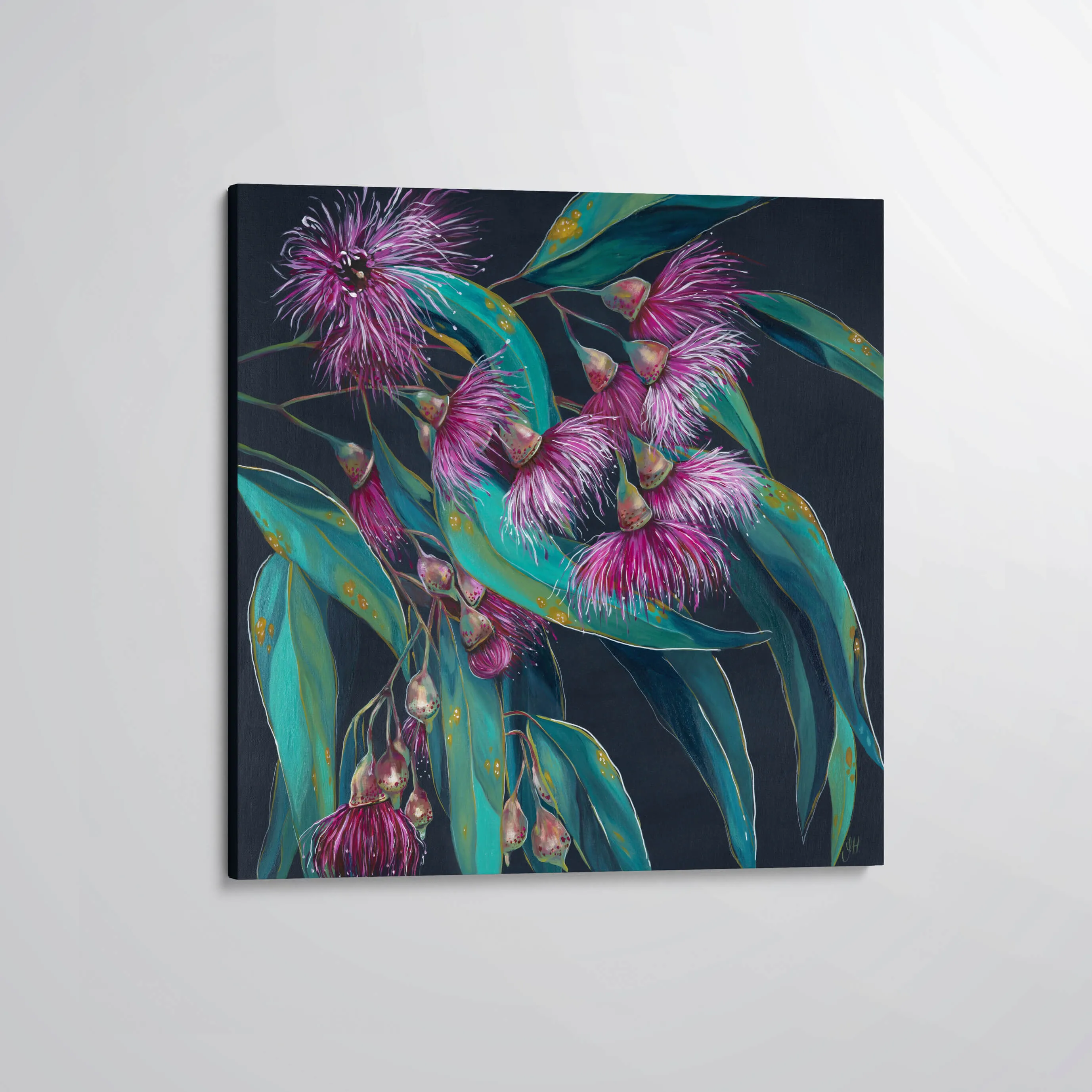 'Candy Blossoms' flowering gum canvas print