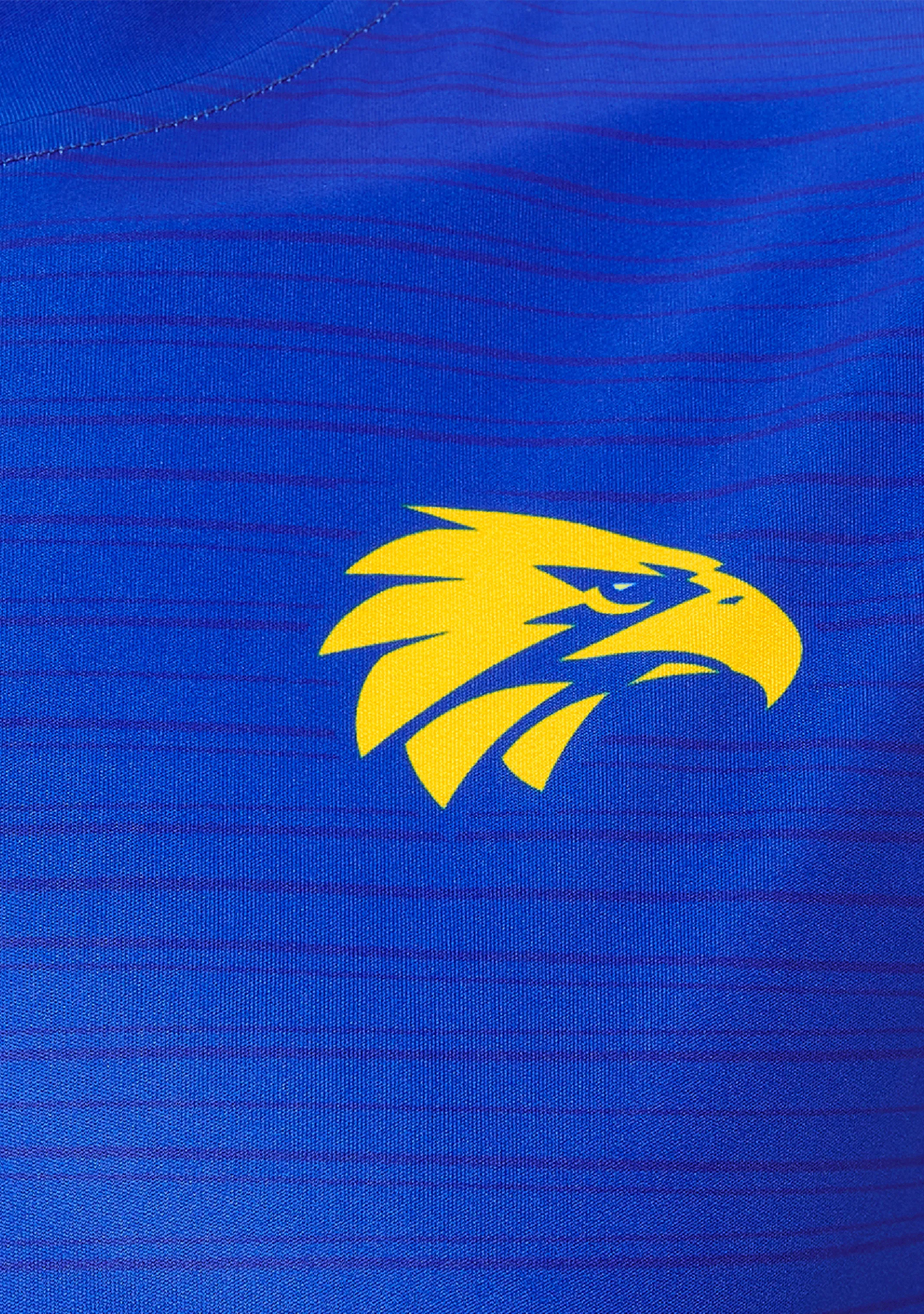 Castore Mens West Coast Eagles Training Singlet  TM0477