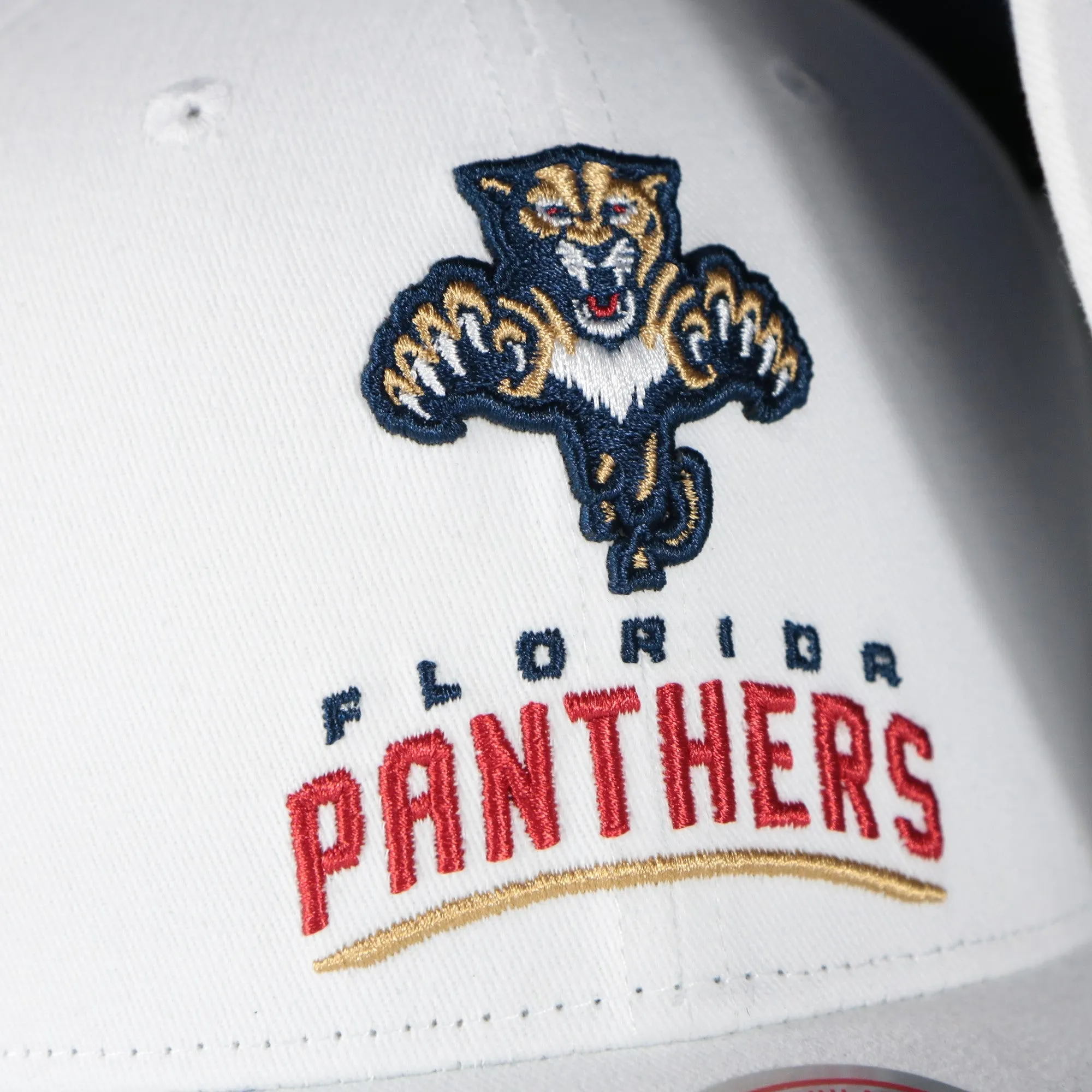 Florida Panthers NHL All in Pro Navy Bottom | White Snapback Hat