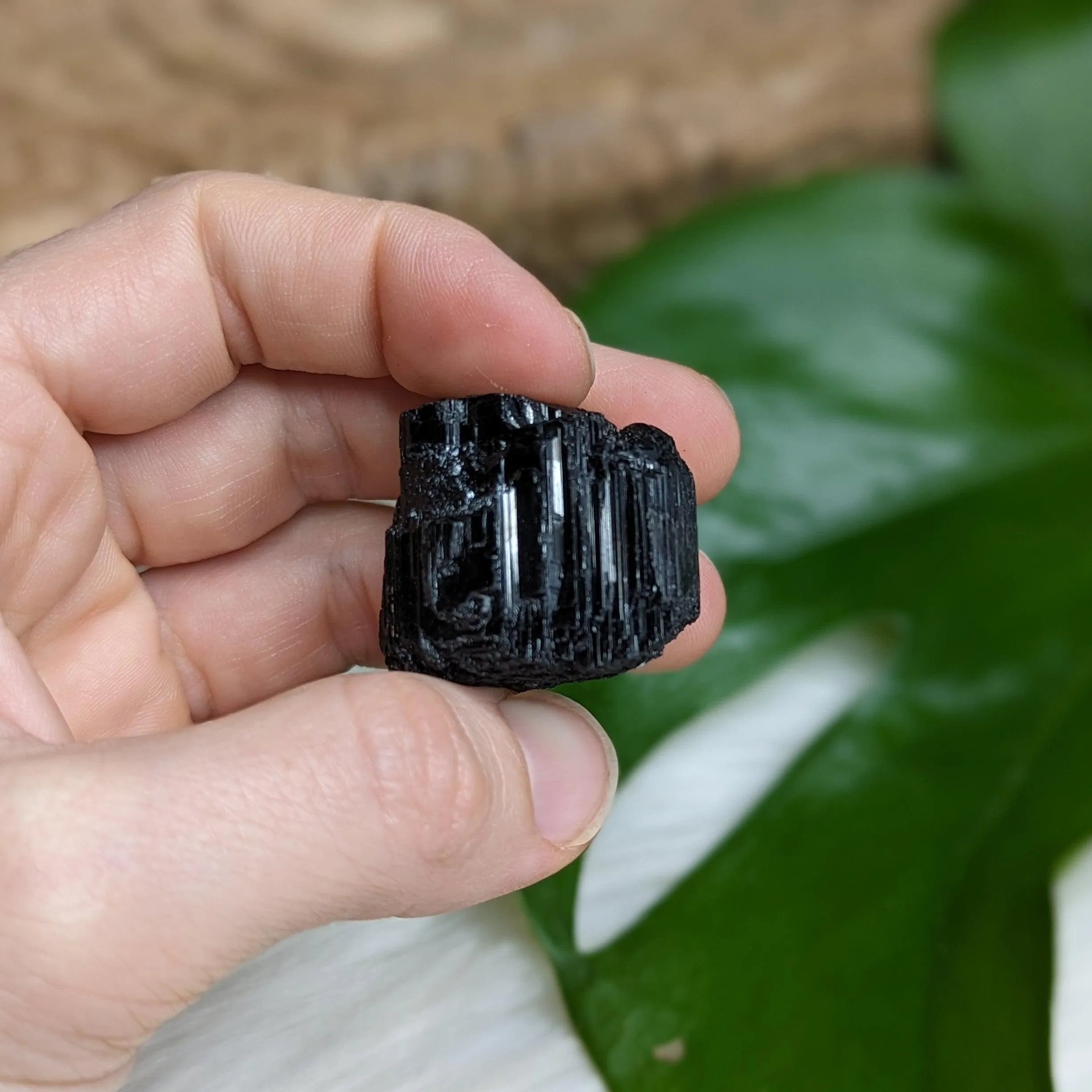 Gemmy AA Black Tourmaline Natural Specimen~ Dazzling Protective Pocket Stone