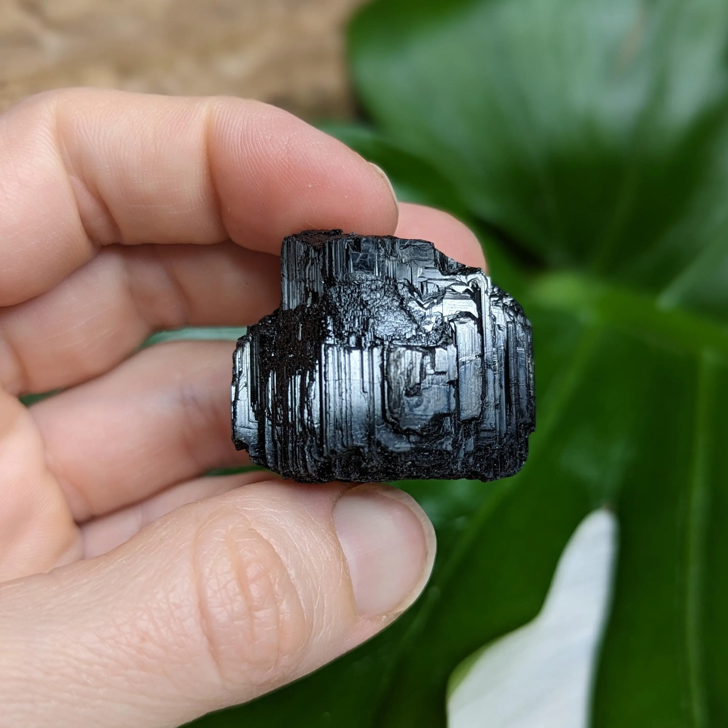 Gemmy AA Black Tourmaline Natural Specimen~ Dazzling Protective Pocket Stone