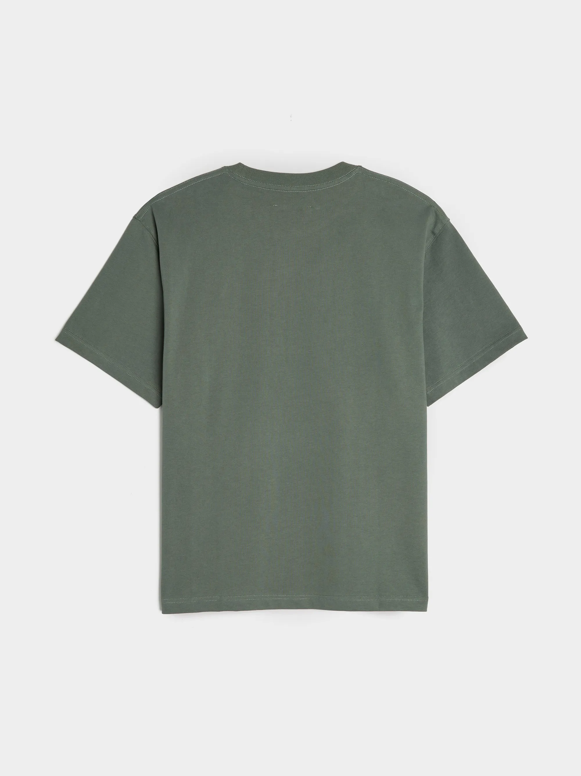 Harness Heavyweight T-Shirt, Sage