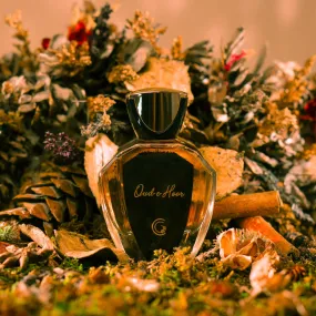 Oud e Hoor CF-06 Perfume